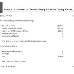 Problems equity statements