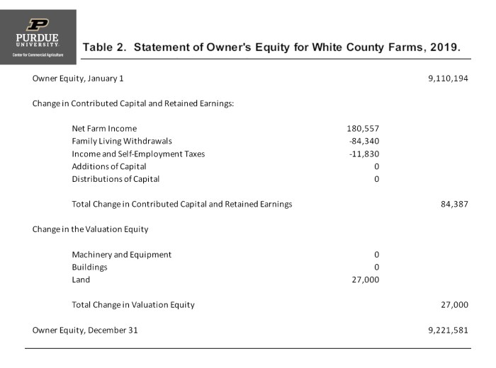 Problems equity statements