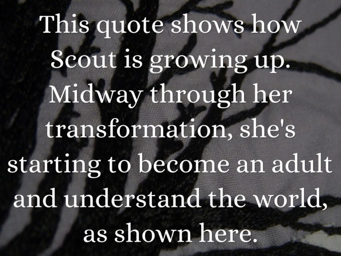 Quotes from tkam about scout